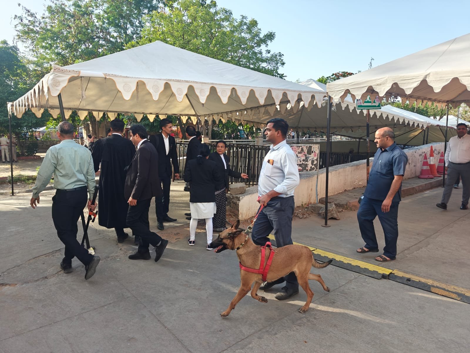 Rajasthan Bar Council Elections 2026 Voting Begins Amid Tight Security, Heavy Turnout at Rajasthan High Court Jaipur
