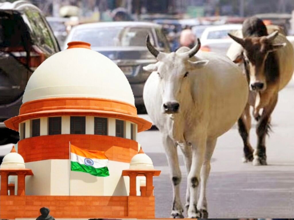 Supreme Court Calls for Compensation Framework for Victims of Stray Cattle Accidents